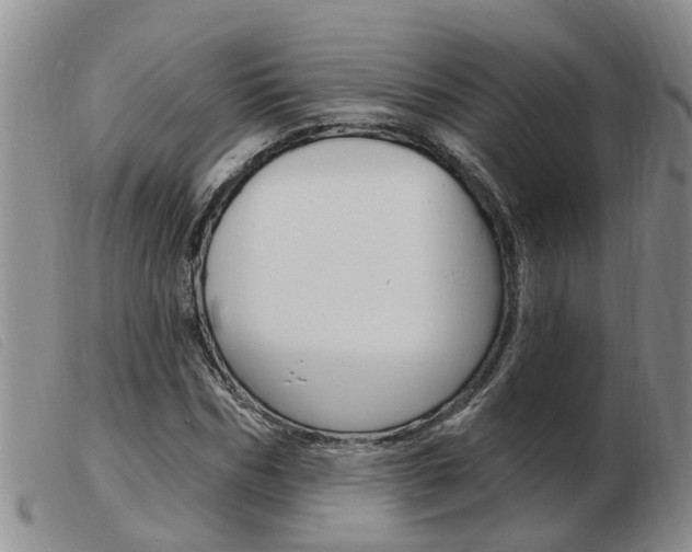 X0000103930970200809191119