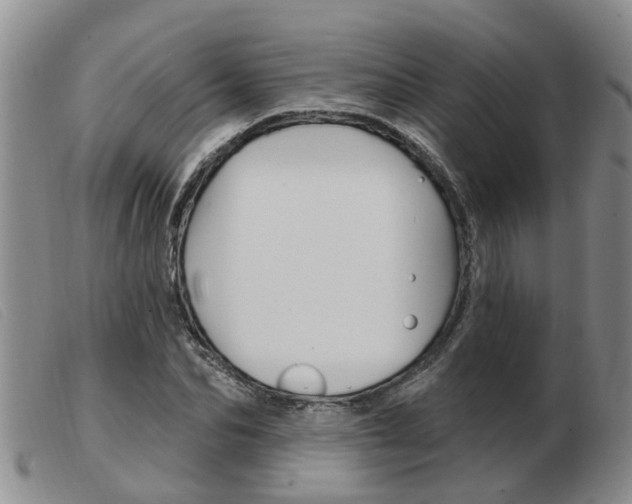 X0000103930974200809191119