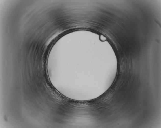 X0000103930975200809191119