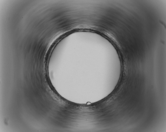X0000103930976200809191119
