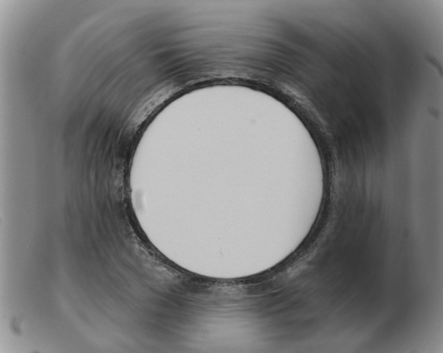X0000103930977200809191119