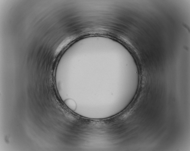 X0000103930978200809191119