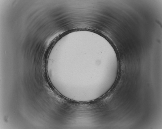 X0000103930979200809191119