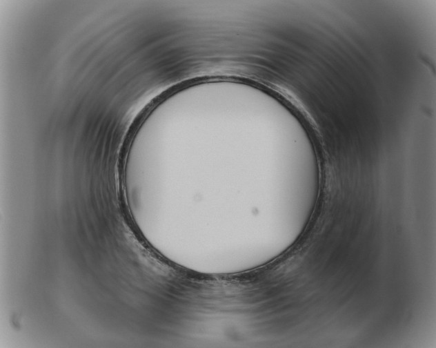 X0000103930980200809191119