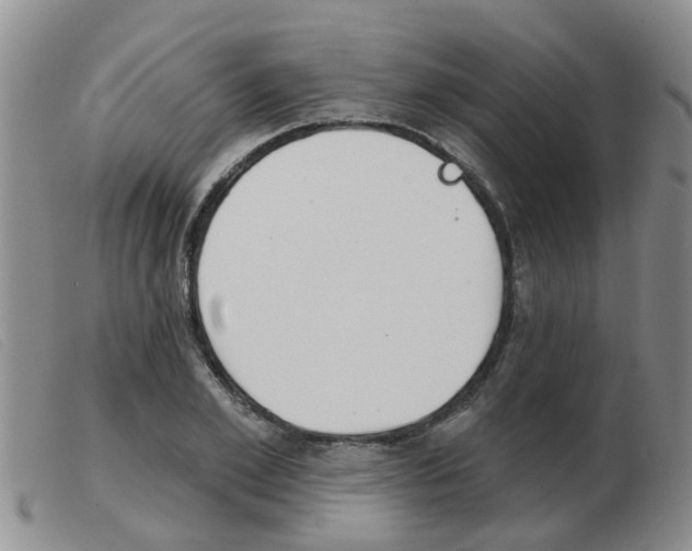X0000103930981200809191119