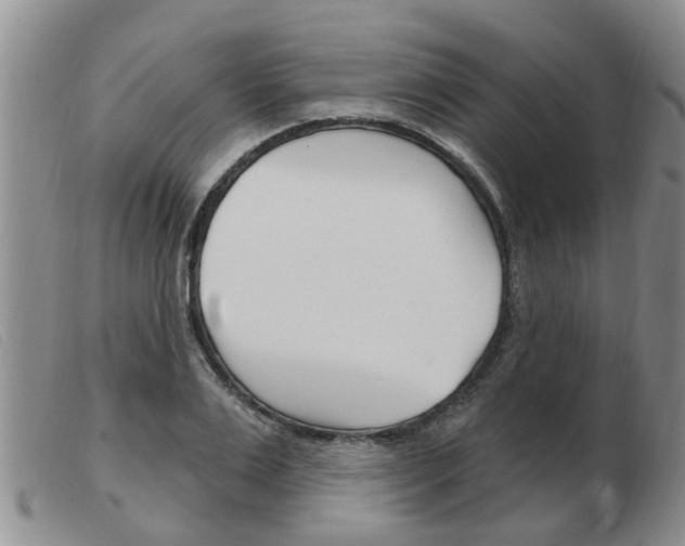 X0000103930983200809191119