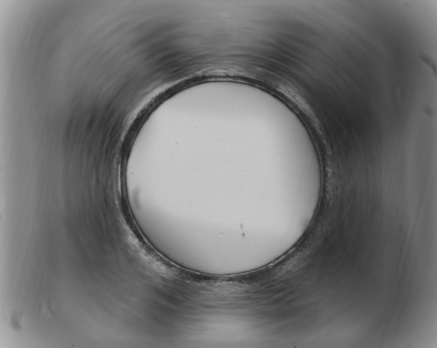 X0000103930984200809191119