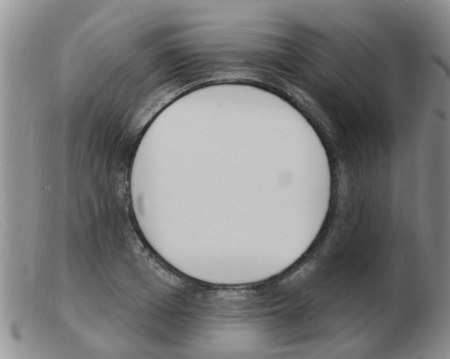 X0000103930985200809191119