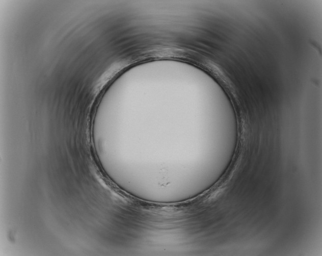 X0000103930986200809191119