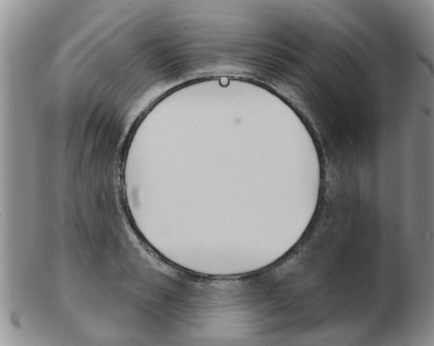 X0000103930989200809191119