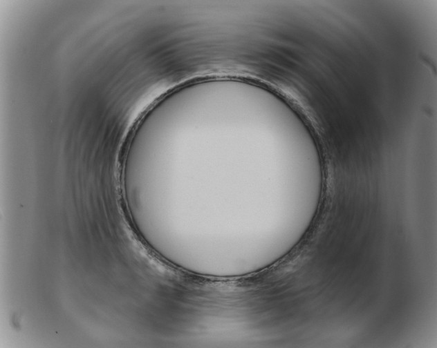 X0000103930990200809191119