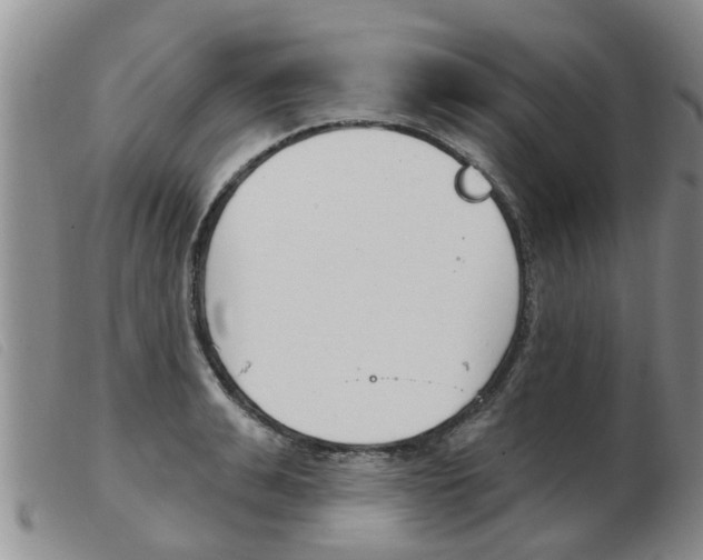 X0000103930991200809191119