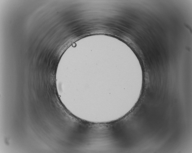 X0000103930993200809191119