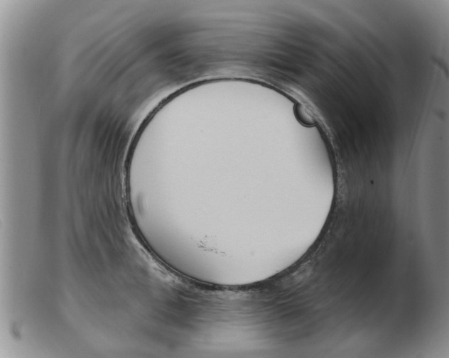 X0000103930996200809191119