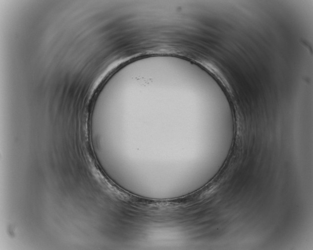 X0000103931000200809191119