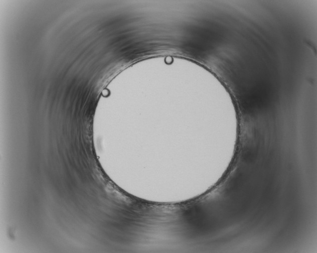 X0000103931001200809191119