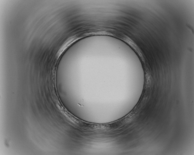 X0000103931002200809191119
