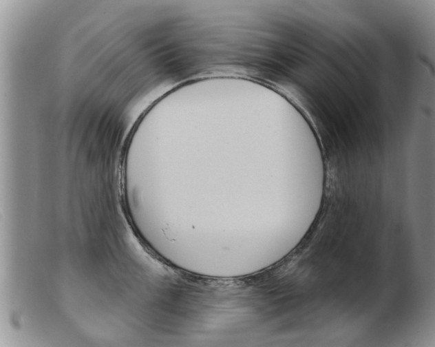 X0000103931003200809191119