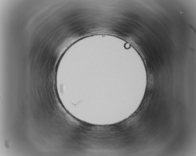 X0000103931005200809191119