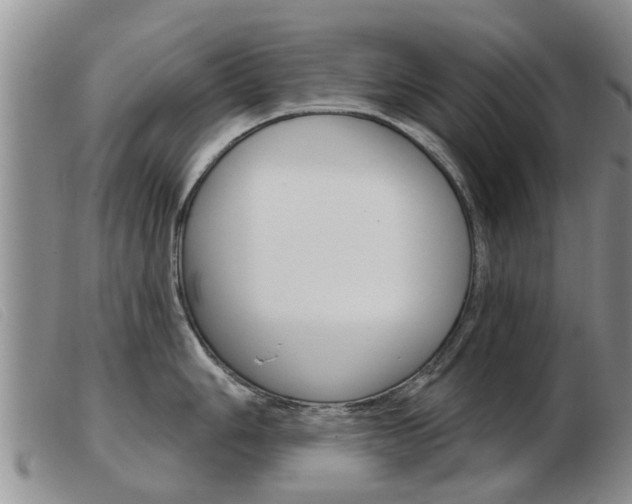 X0000103931006200809191119