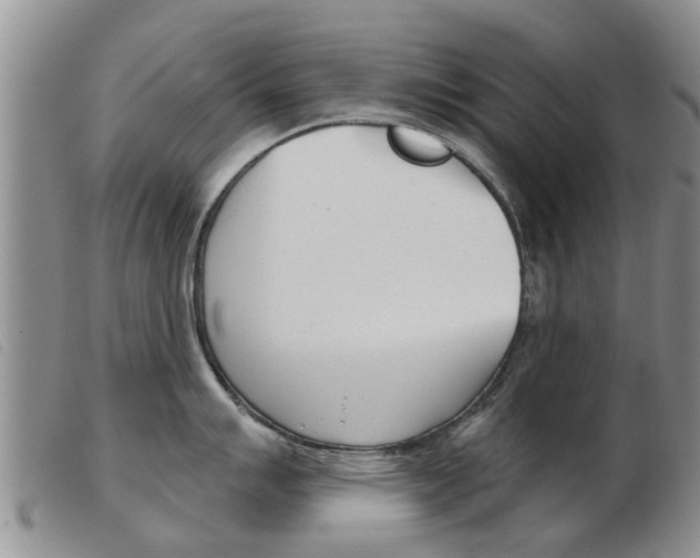 X0000103931007200809191119
