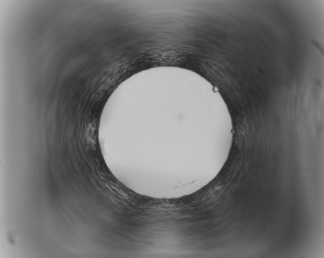 X0000103931010200809191118