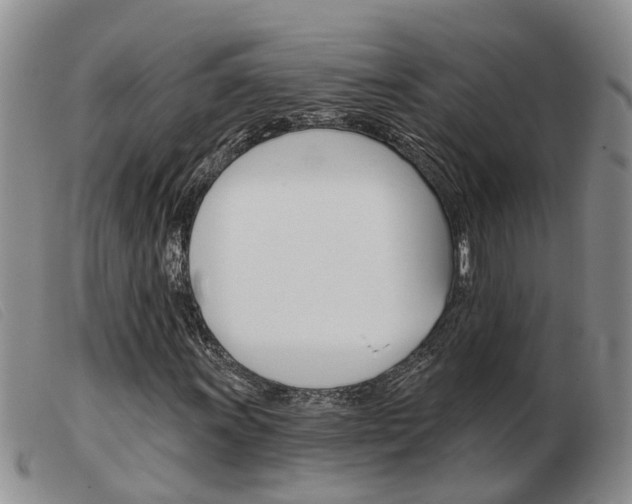 X0000103931011200809191118
