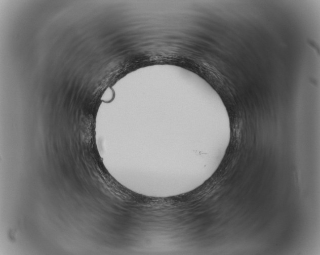 X0000103931012200809191118