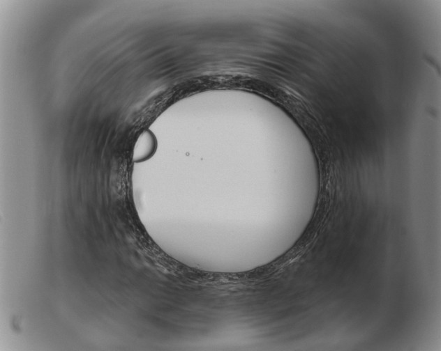 X0000103931014200809191118