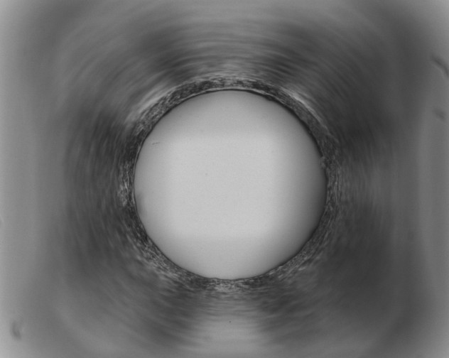 X0000103931015200809191118