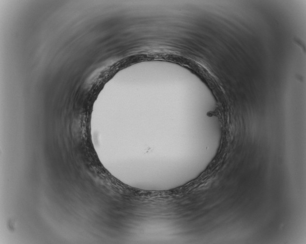 X0000103931016200809191118