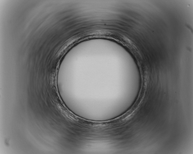 X0000103931017200809191118