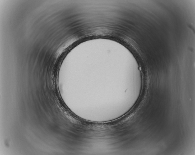 X0000103931018200809191118