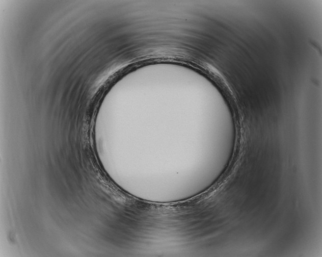 X0000103931019200809191118