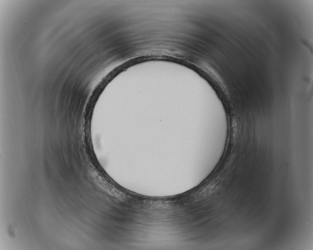 X0000103931020200809191118