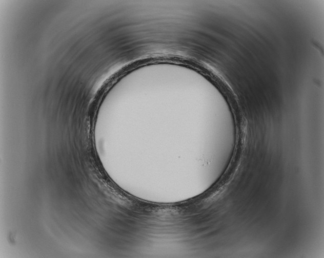 X0000103931021200809191118