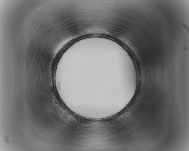 X0000103931022200809191118