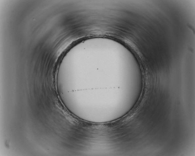 X0000103931023200809191118