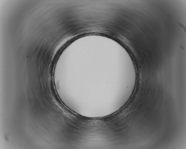 X0000103931024200809191118