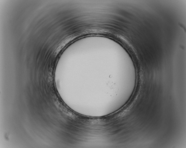 X0000103931025200809191118