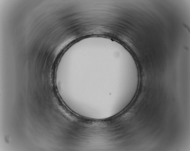 X0000103931026200809191118
