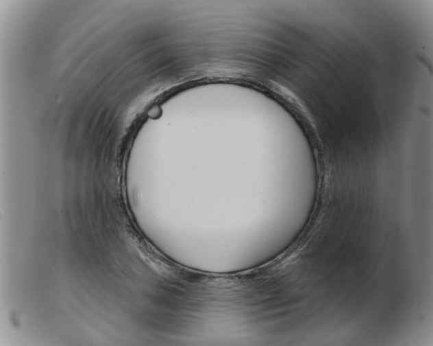 X0000103931027200809191118