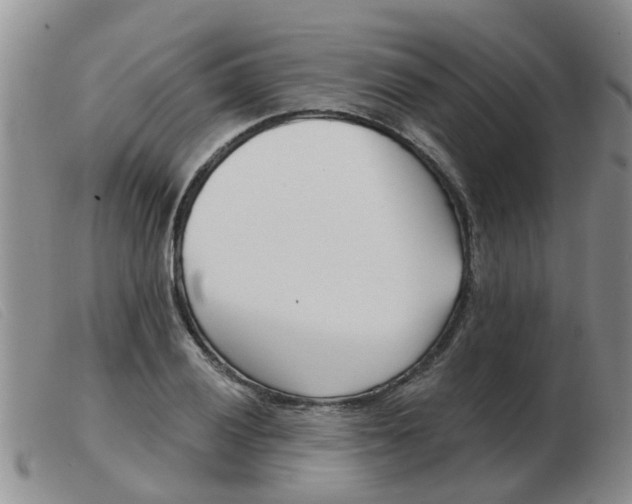 X0000103931028200809191118