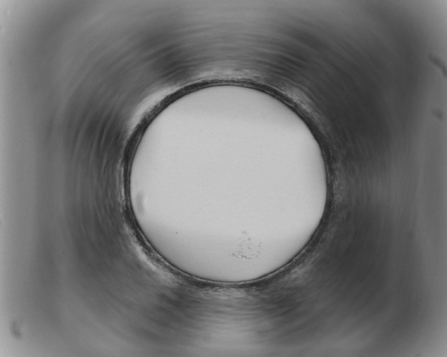 X0000103931030200809191118