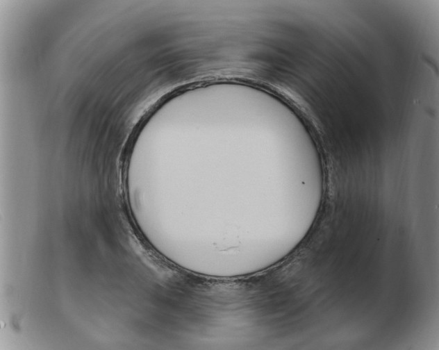 X0000103931031200809191118