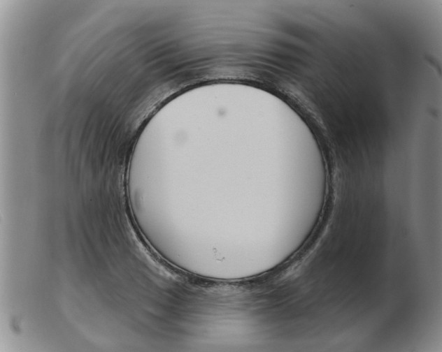 X0000103931033200809191118