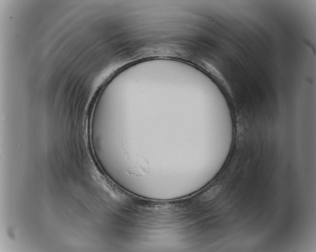X0000103931035200809191118