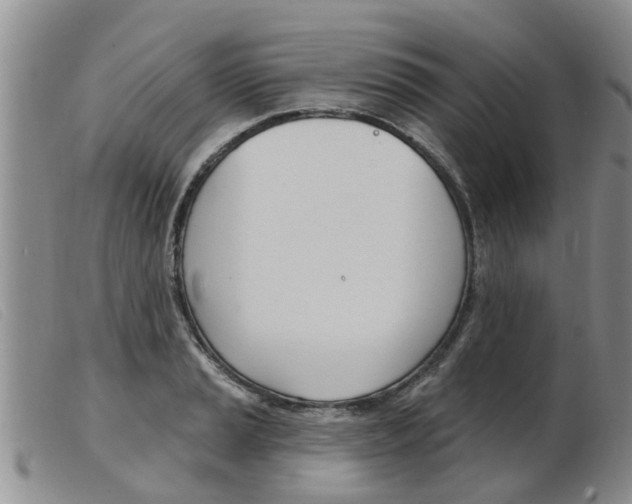 X0000103931037200809191118