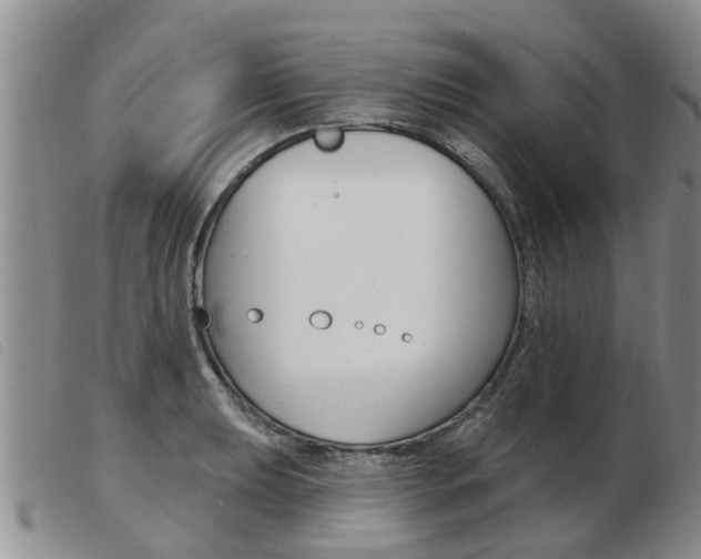 X0000103931039200809191118