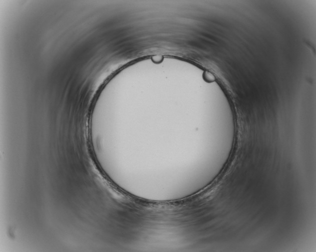 X0000103931040200809191118